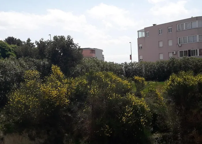 With Wifi - 13303 * ספליט